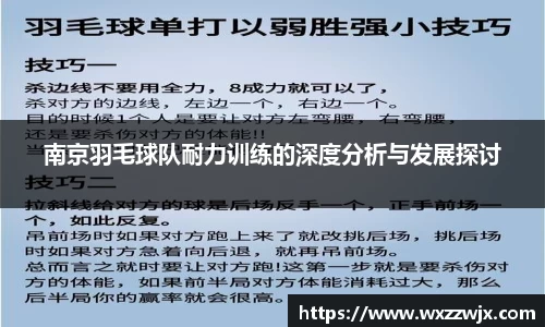 南京羽毛球队耐力训练的深度分析与发展探讨